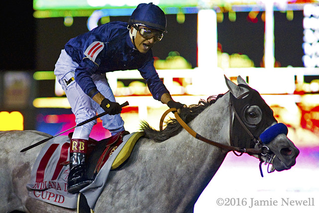 Cupid and Rafael Bejarano win the Indiana Derby