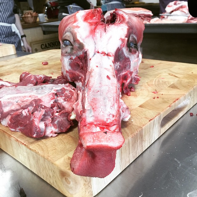 It didn't start like this... #butcherycourse @meatschooluk #poorpiggie