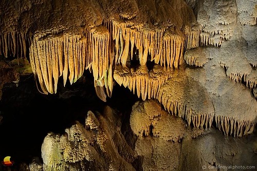 texture nature underground wonder virginia rainyday unitedstates roadtrip valley limestone shenandoah luray cavern fishmarket ontheroad luraycaverns etbtsy