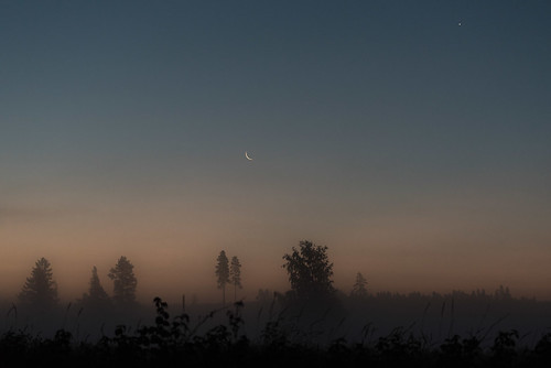Fog_2 | by pompiainen
