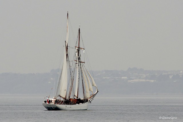 Goélette Etoile en rade de Brest.