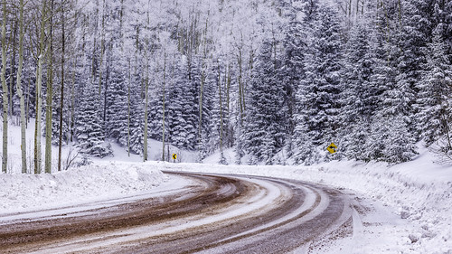 road trees winter usa white snow newmexico santafe nature landscape photography countryside photo december photographer image fav50 unitedstatesofamerica fav20 1600 hasselblad f90 photograph april snowing 24mm curve fav30 fineartphotography 2016 2015 commercialphotography fav10 fav40 fav60 santafecounty fav70 ¹⁄₆₄₀sec mabrycampbell h5d50c hcd24 april222016 20160422campbellb0001261
