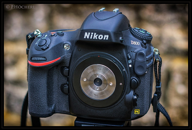 Nikon D800 with Skink Pinhole