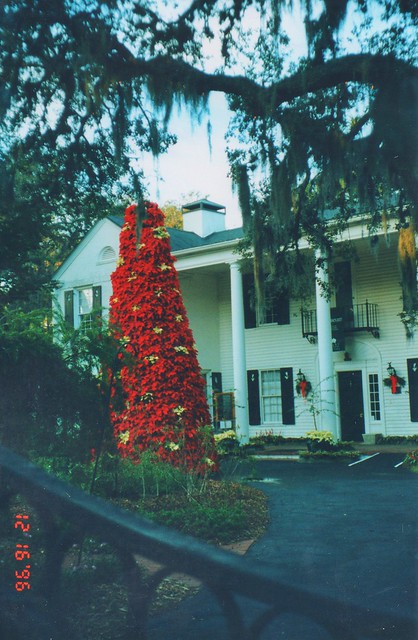 Sarasota Florida ~ Shelby Bontaical Gardens ~ HIstoric Bontaical Gardens