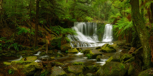 longexposure autumn green water forest waterfall nationalpark au peaceful australia falls tasmania serene hobart ferns tranquil mountfield movingwater mtfield mtfieldnationalpark foliagerainforest