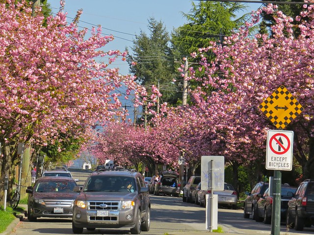 Spring In Vancouver, BC