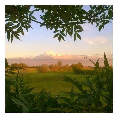 Tramonto all'oasi " Le Meleghine" #igersmodena#finalemilia#tramonto#sunset#natura#domenica#Nokialumia625 by Yaschica F-X 3, square squareformat iphoneography instagramapp uploaded:by=instagram foursquare:venue=4cd1c75e9d8722