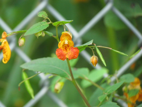 024 | by bobandheather2