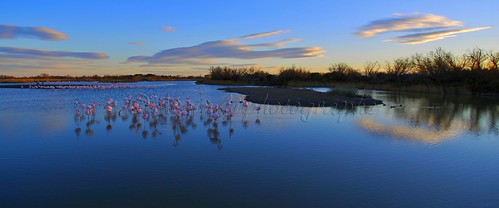 Tableau Camarguais............ | by Malain17