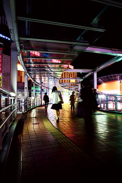 Ebina vinawalk night walk