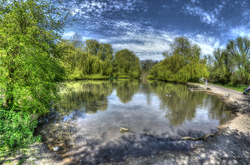 nature reflections pond nikon wideangle bluesky fisheye essex willows witham duckpond springday samyang8mmfisheyelens d3100 riverwalkwitham ilobsterit