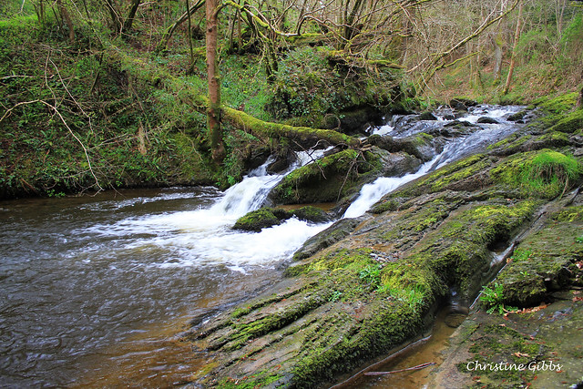 Cyffylliog Waterfall