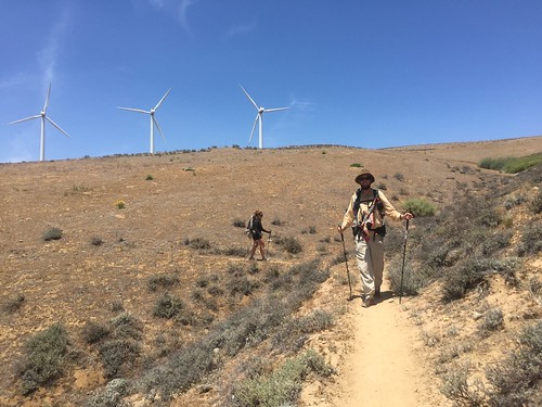 PCT: Day 42