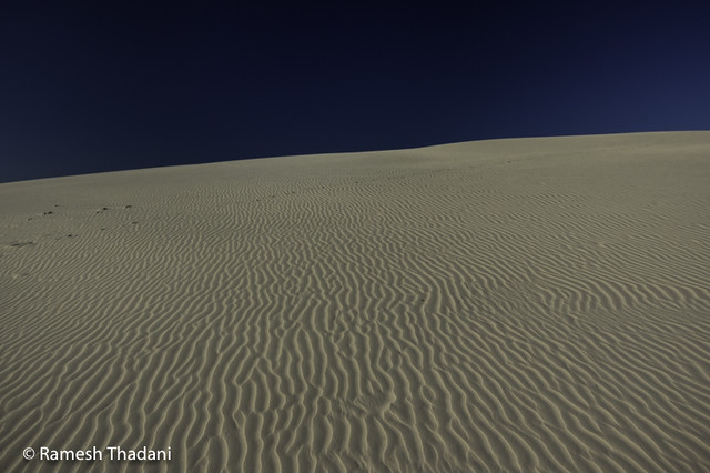 Dune near the 