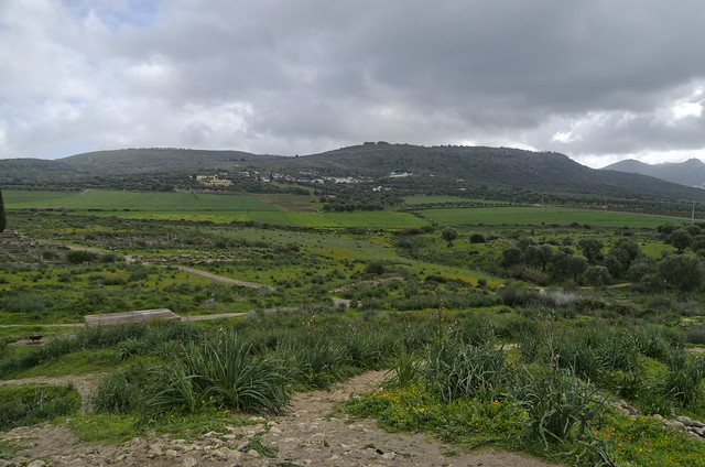 Volubilis, looking E from the top of the tumulus