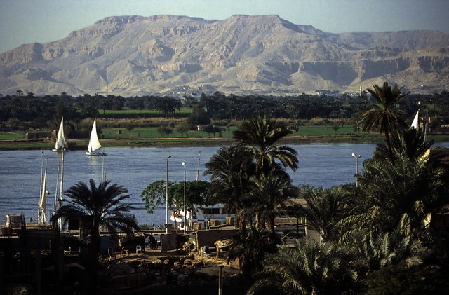 Ägypten 1999 (193) Luxor: Theben-West