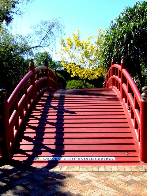 Japanese Bridge @ Wollongong Botanic Gardens