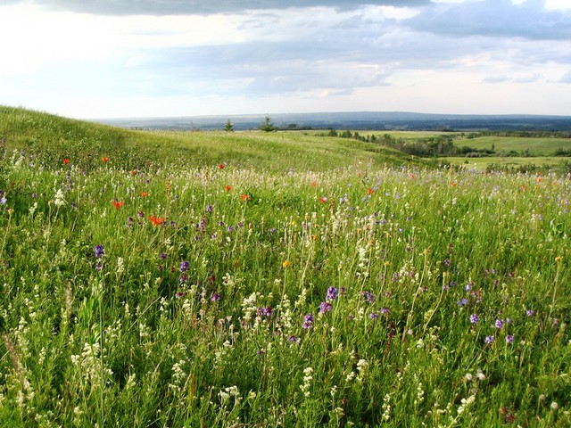 Kleskun Hill NA