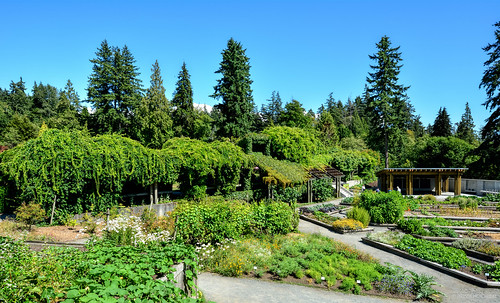 UBC Botanical Gardens