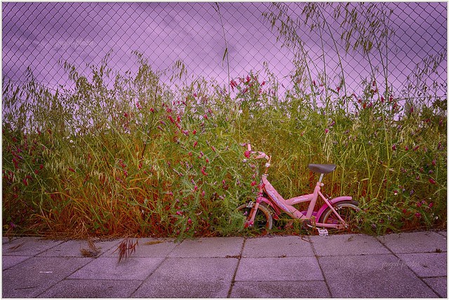 pink bike in rough grass