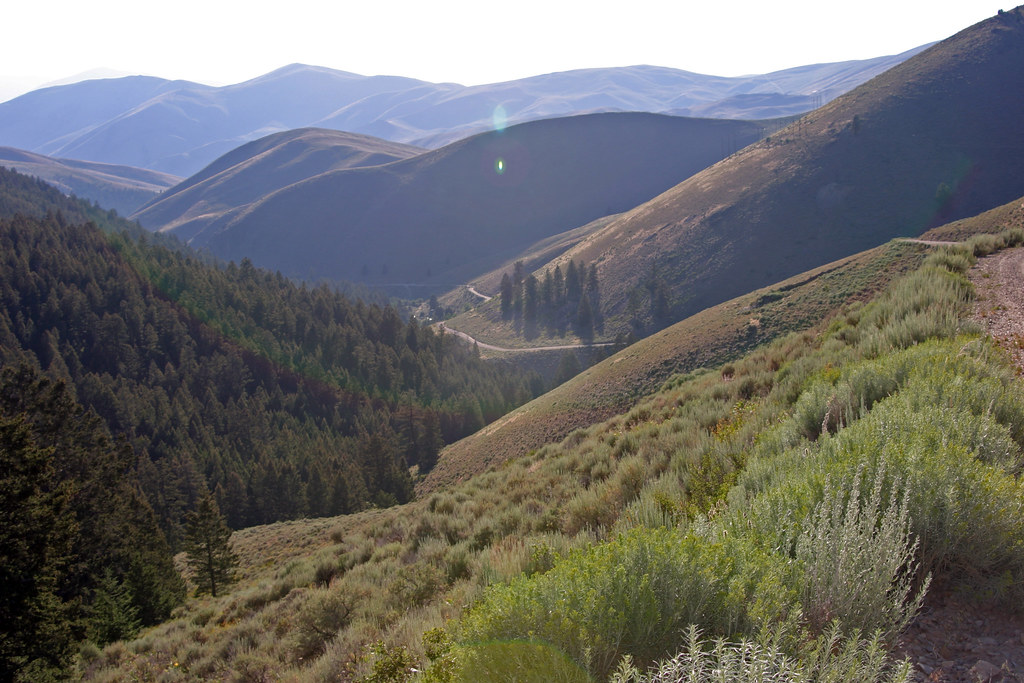 Willow Creek