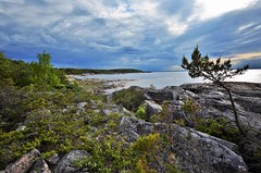 The coast of Uppland (In explore)