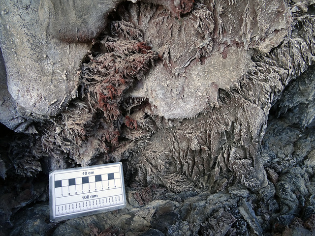 Helictitas de lava - Llano del Banco (La Palma, Islas Canarias, España) - 01