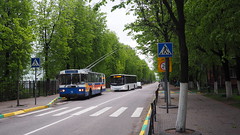 Vidnoye trolleybus ZiU-682G012 10