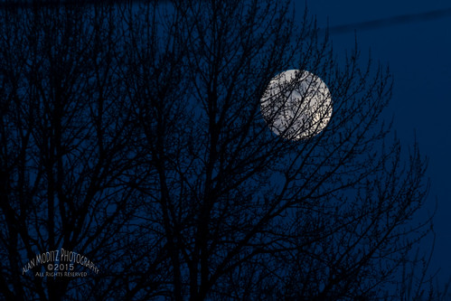 moon tree silhouette rising washington unitedstates luna full lunar ridgefield lunartics