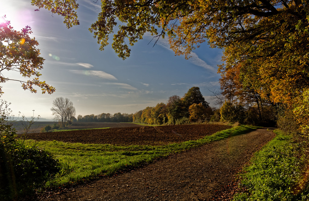 Herbst 2014