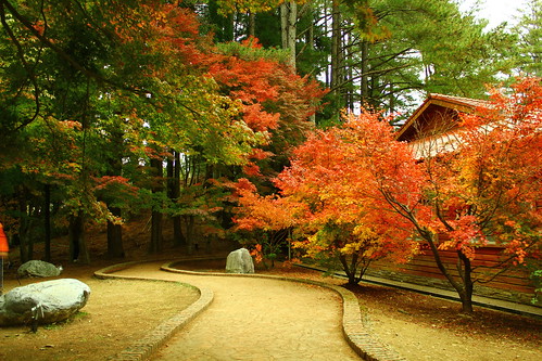 圖02福壽山農場松盧的楓紅與小徑頗具日本風