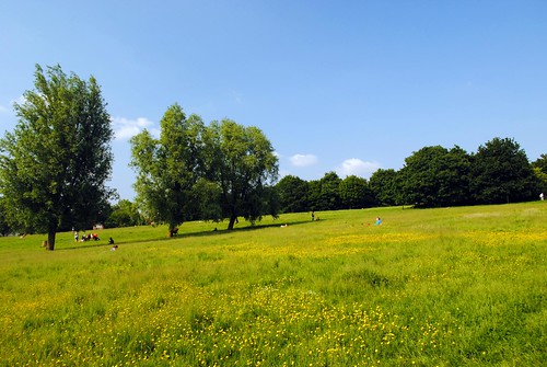blue trees summer sky hot green london beautiful grass sunshine june out walking relax warm long outdoor walk space exploring south 4 capital sunday relaxing sunny calm ring east serene common streatham 5th stroll section chilled amble 2016 crystalpalacetostreathamcommon