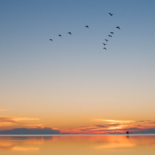 ocean orange seascape birds clouds sunrise landscape bay florida miami ibis deeringpoint