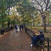 #fallcolors #autumncolors at @washingtonsquarepark_  #washingtonsquarepark #newyork #nyc
