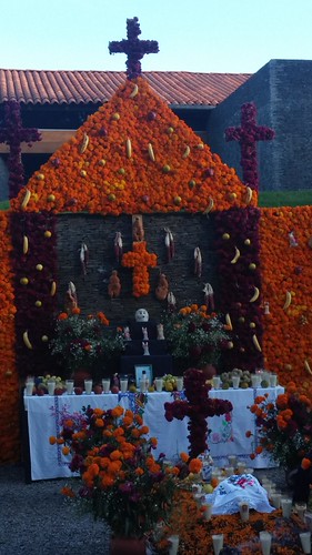 New photo added to gallery | by bmendozalizarde