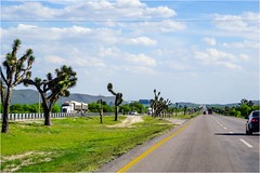 Carretera Matehuala a San Luis - SLP México 150401 163428 05480 HX50V