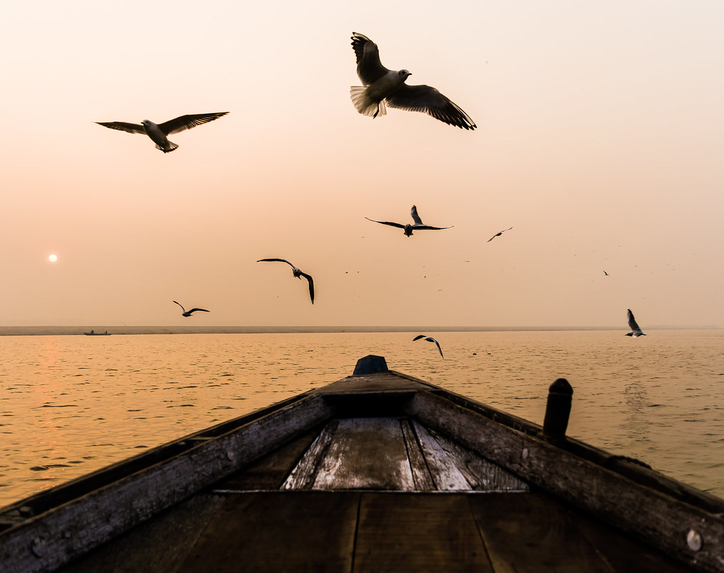 Flight | Varanasi,India | Vijayaraj PS | Flickr