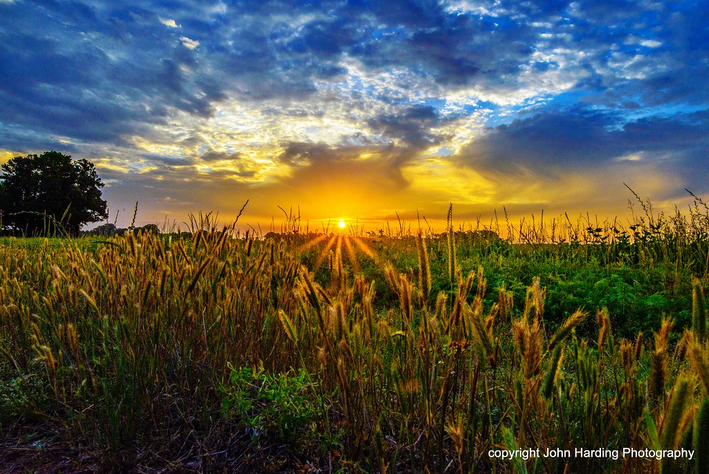 Dawn In The Weeds | Thanks for the visit and have a great we… | T i s d ...