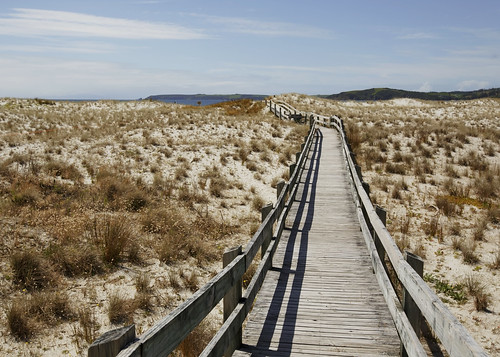 wood newzealand summer beach nature landscape wooden path dunes auckland nz boardwalk omaha northland peninsula tawharanui ef1635mmf28liiusm canoneos5dmarkiii lisaridings fantommst