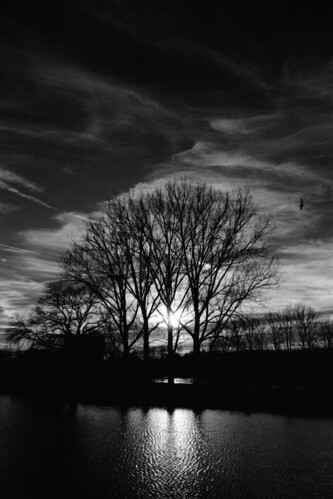 sunset bw film nature analog kodak trix 11 d76 400