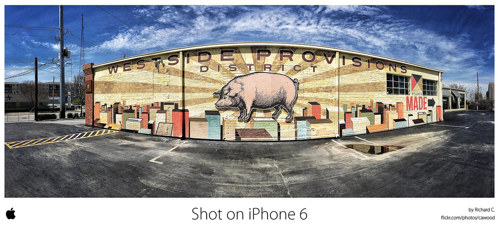 A Post Easter Piggie Pano / iPhoneography