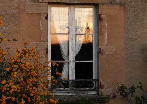 3042 Sunset by Nebojsa Mladjenovic, D
PL
TSA
PH
FO
MVflowers sunset france color window fleur french flora sundown burgundy panasonic bo