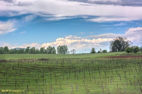 sky clouds vineyard nikon unitedstates northcarolina hdr lawndale clevelandcounty photomatixpro adobelightroom