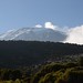 Kilimanjaro - Machame route - stock