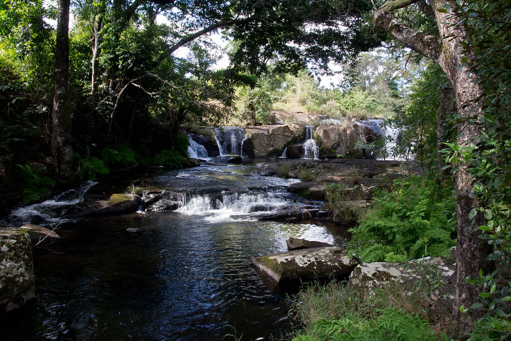 Mount Gorongosa Gorongosa National Park, Mozmabique Josh Daskin