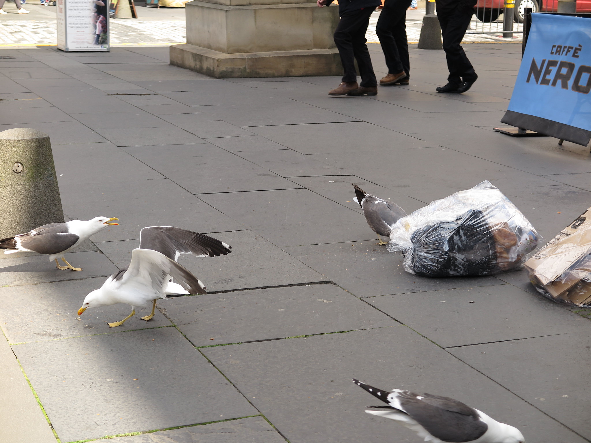 {Day 1} (Edinburgh)