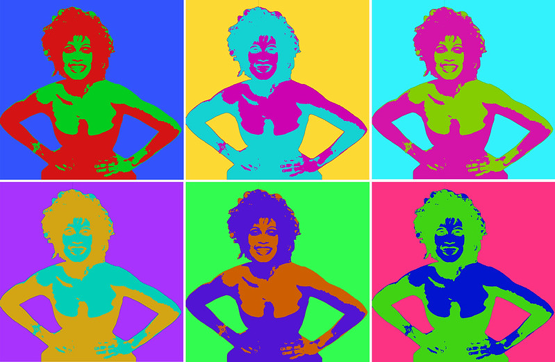 Whitney Houston Completed Popart