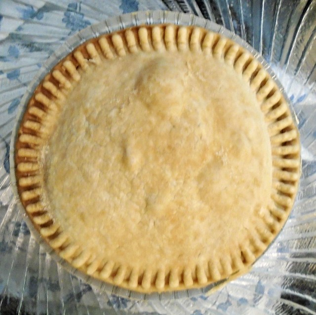 137/365:  Square Crop of a Round Pot Pie