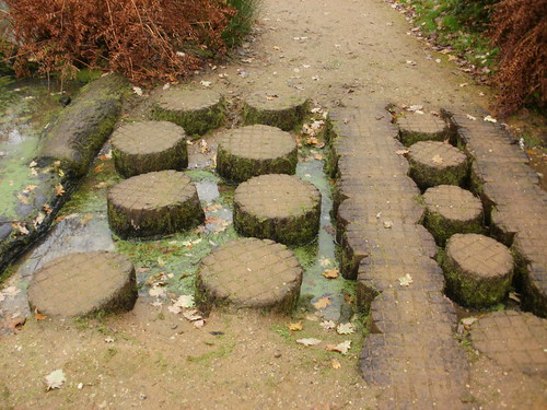 Wooden stepping stones OLYMPUS DIGITAL CAMERA 