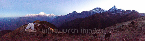 morning nepal white snow mountains nature sunrise trekking landscape outdoors dawn asia grain peak nopeople hills grainy himalaya noise annapurna fang scenics iphone dhaulagiri annapurnasouth annapurnai khopra kaski indiansubcontinent khopradanda bahrachuli khopradada